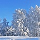 Зимний день